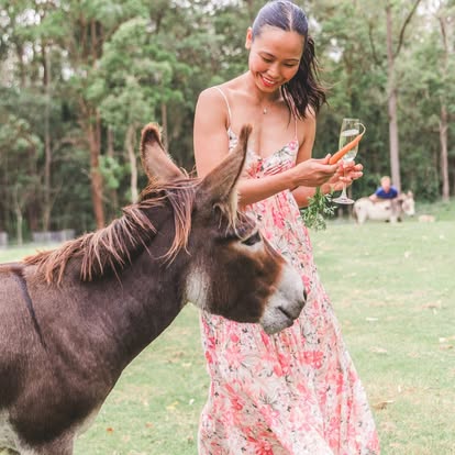 A guest with champagne and the donkeys at Little Donkey Estate