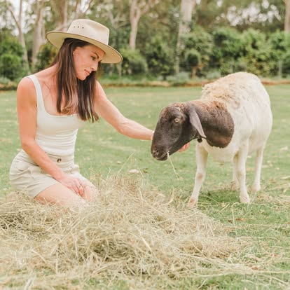 Feeding the donkeys at Little Donkey Estate