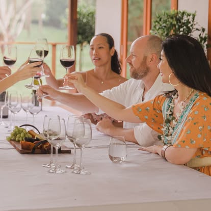 Guests raising a glass at Little Donkey Estate